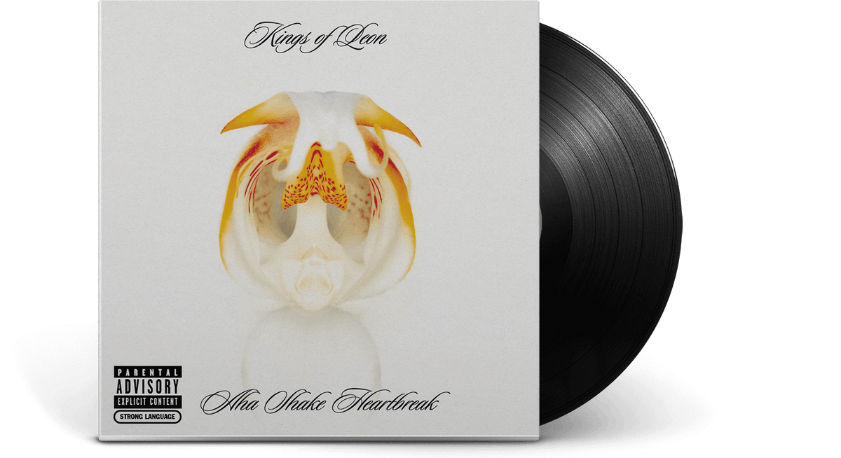 Vinyl - Kings Of Leon : Aha Shake Heartbreak - The Record Hub