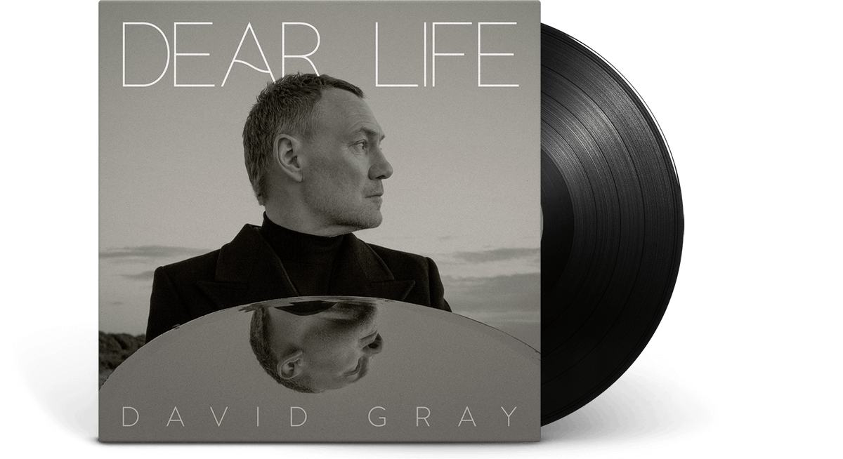 Vinyl - [Pre-Order [17/01] David Gray : Dear Life - The Record Hub