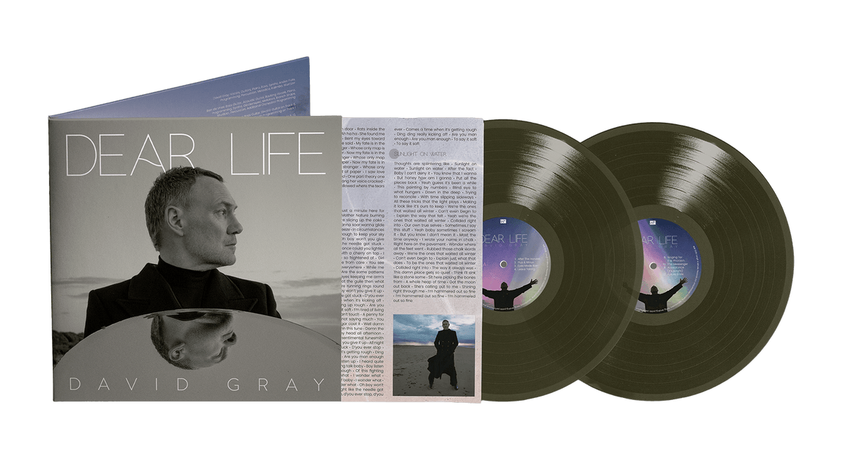 Vinyl - David Gray : Dear Life (Coloured Vinyl) - The Record Hub