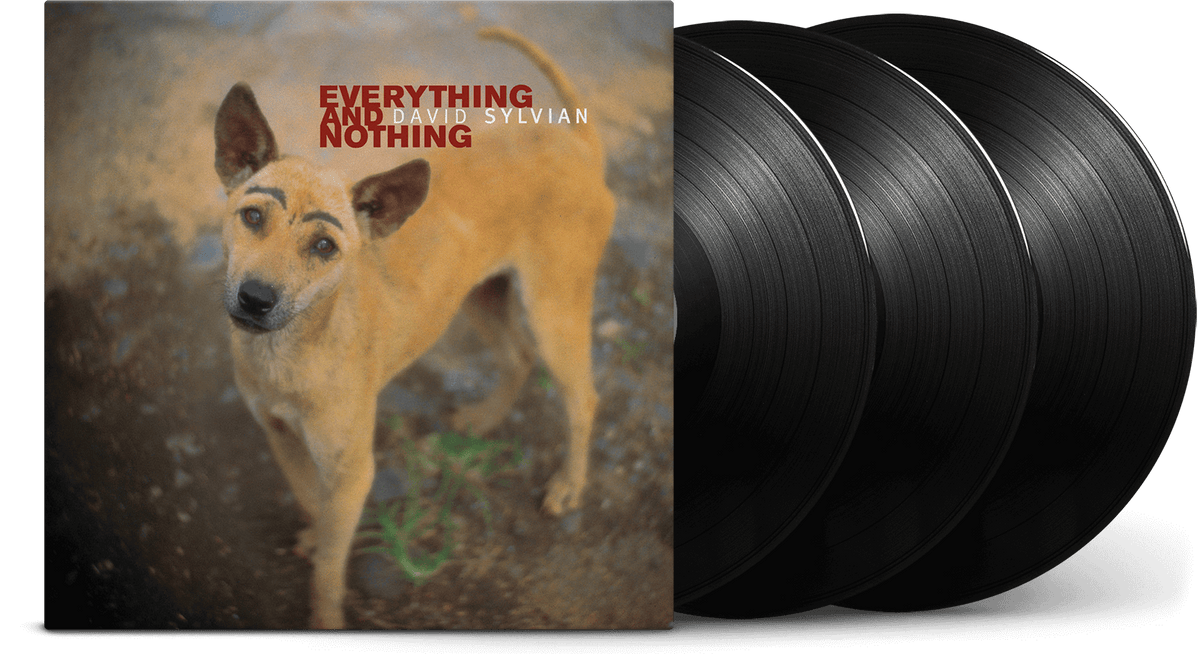 Vinyl - David Sylvian : Everything &amp; Nothing - The Record Hub