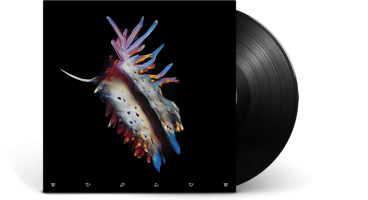 Vinyl - Sub Focus : Evolve - The Record Hub