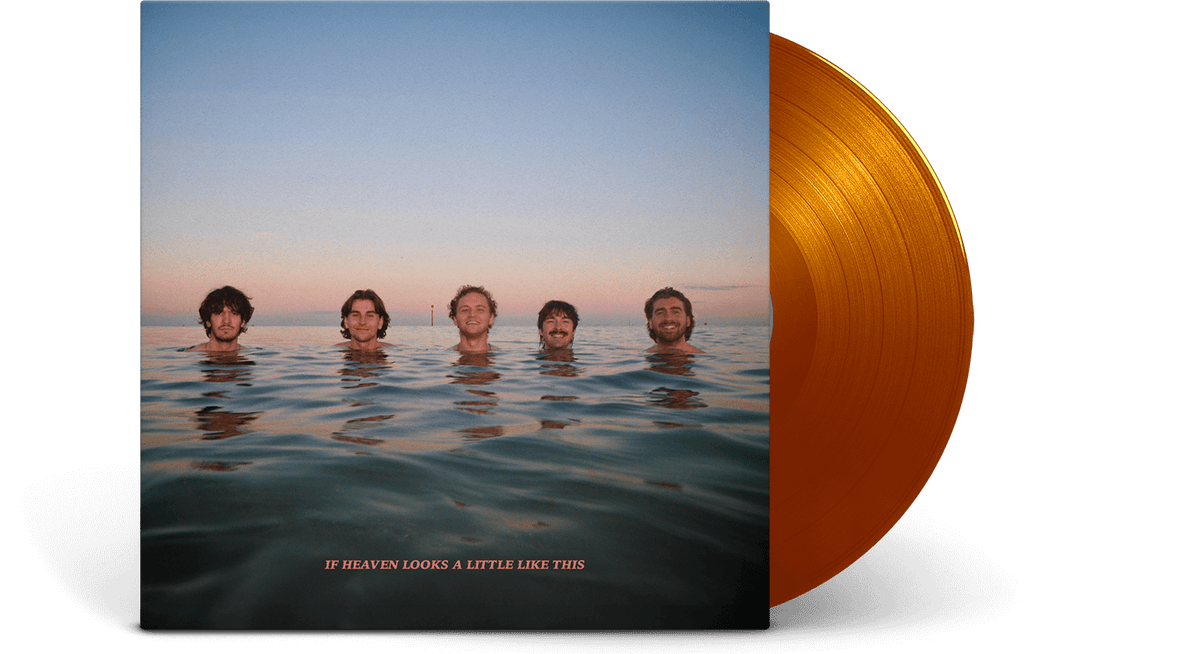 Vinyl - Delights : If Heaven Looks A Little Like This (Orange Vinyl) - The Record Hub