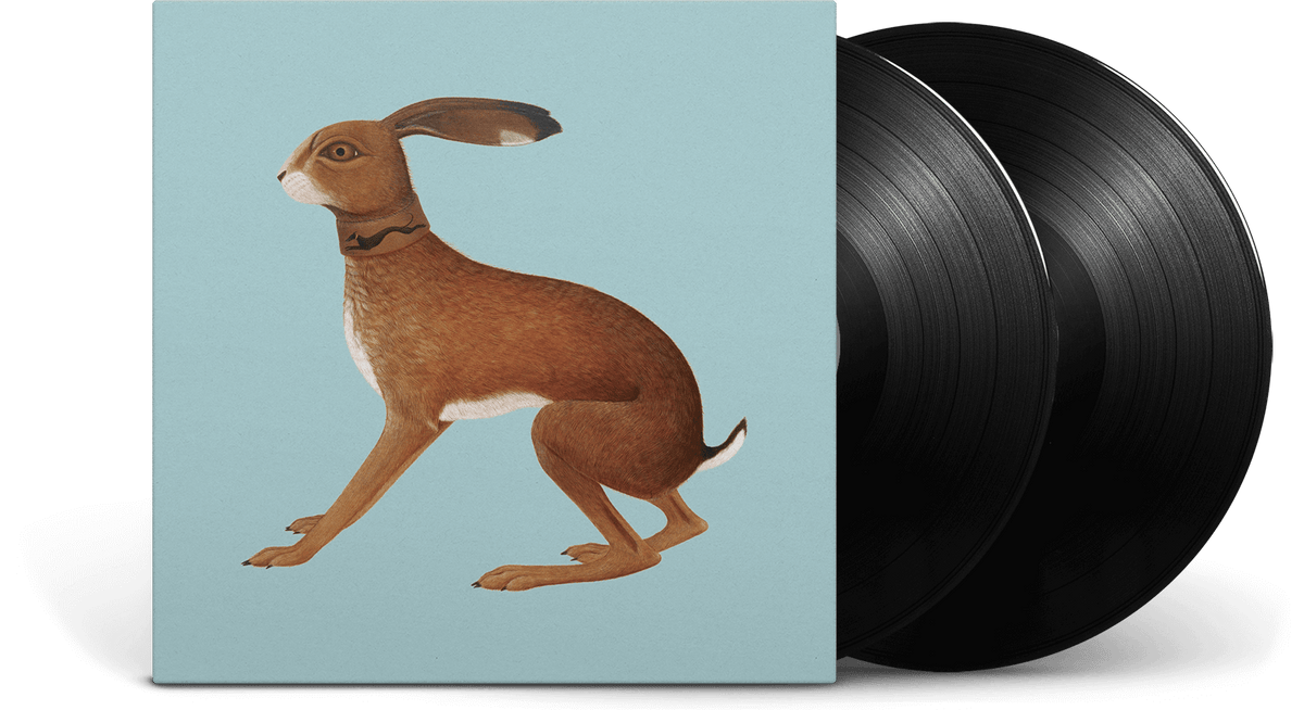 Vinyl - Vashti Bunyan : Lookaftering – Expanded Edition - The Record Hub