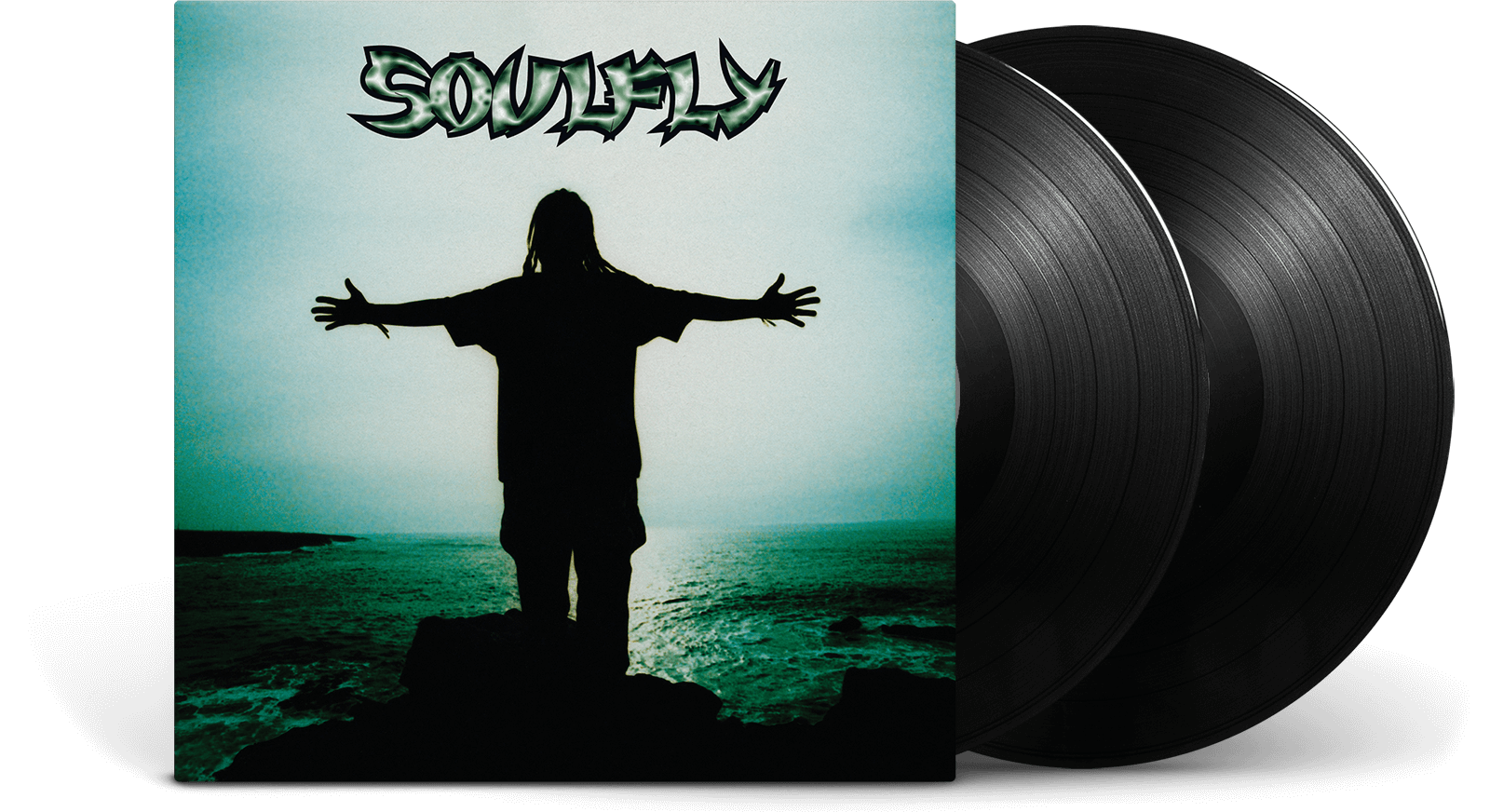 SOULFLY Vinyl Analog lpレコード - レコード