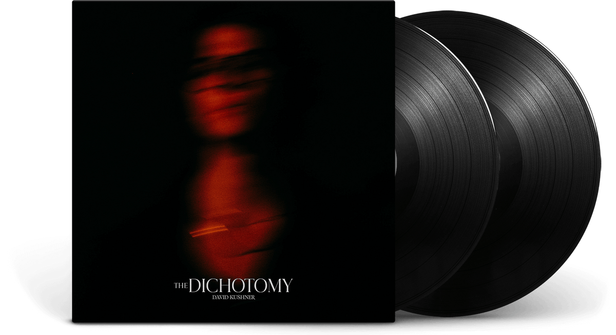 Vinyl - David Kushner : The Dichotomy - The Record Hub