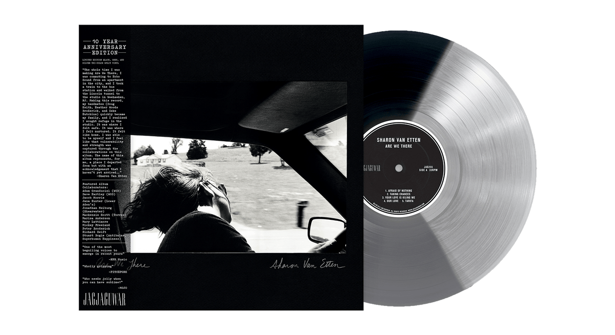 Vinyl - Sharon Van Etten : Are We There - 10 Year Anniversary Edition (Black, Grey and Silver Tri-Color Split Vinyl) - The Record Hub