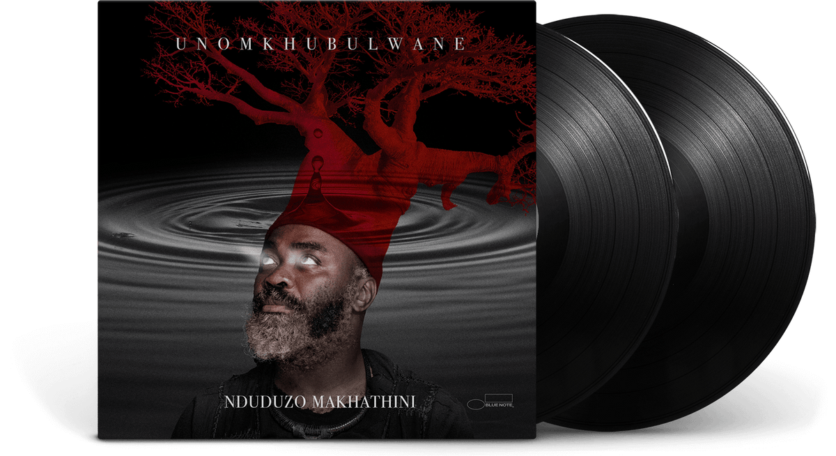 Vinyl - Nduduzo Makhathini : uNomkhubulwane - The Record Hub