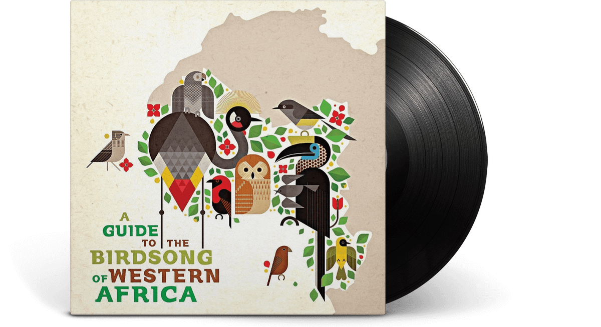 Vinyl - Various Artists : A Guide to the Birdsong of Western Africa - The Record Hub