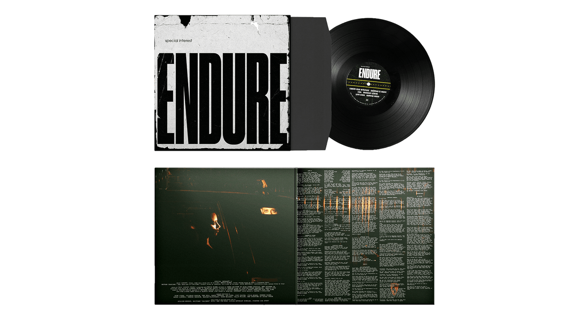 Vinyl - Special Interest : Endure - The Record Hub