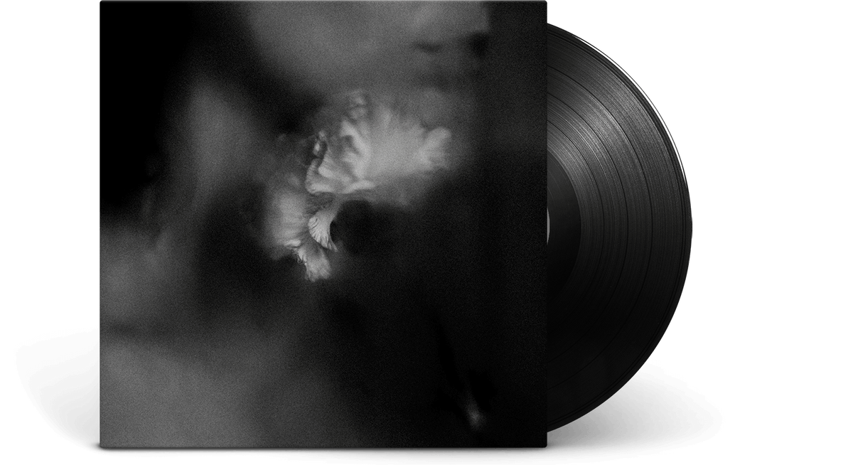 Vinyl - Holding Absence : Holding Absence - The Record Hub