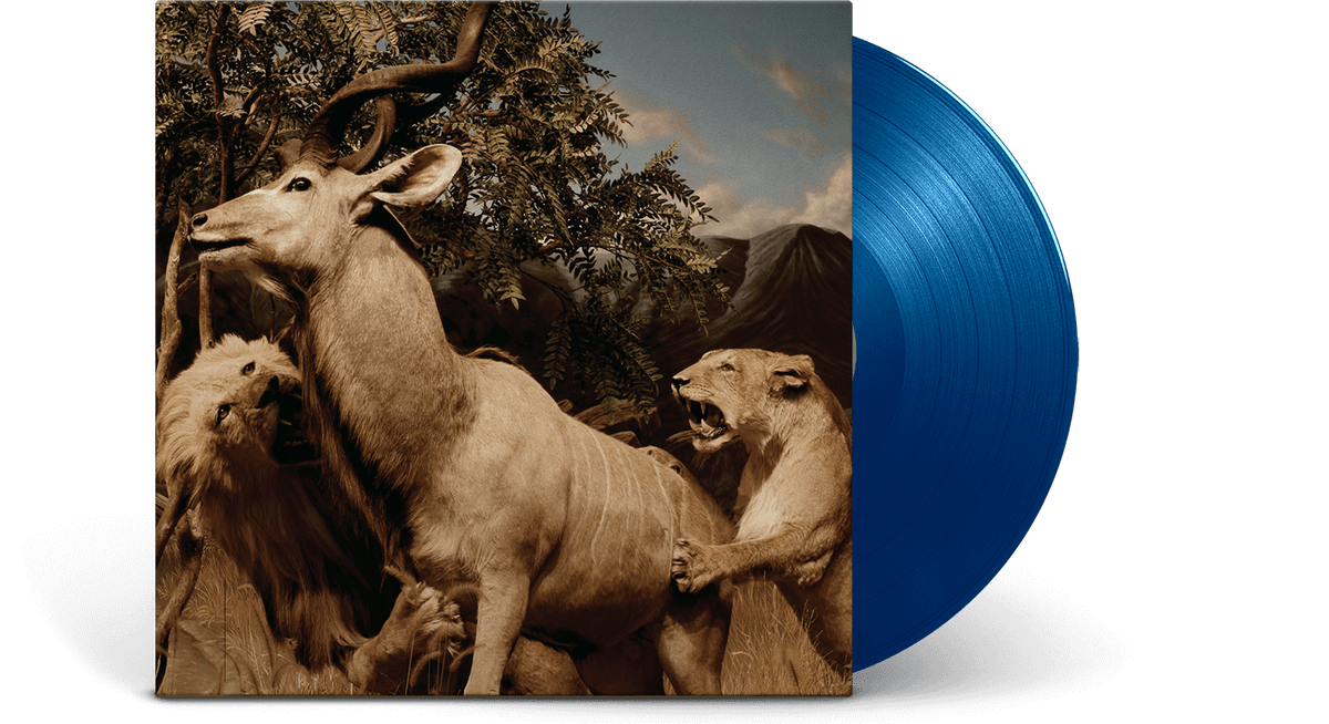 Vinyl - Interpol : Our Love To Admire (Ltd Sky Blue Vinyl) - The Record Hub
