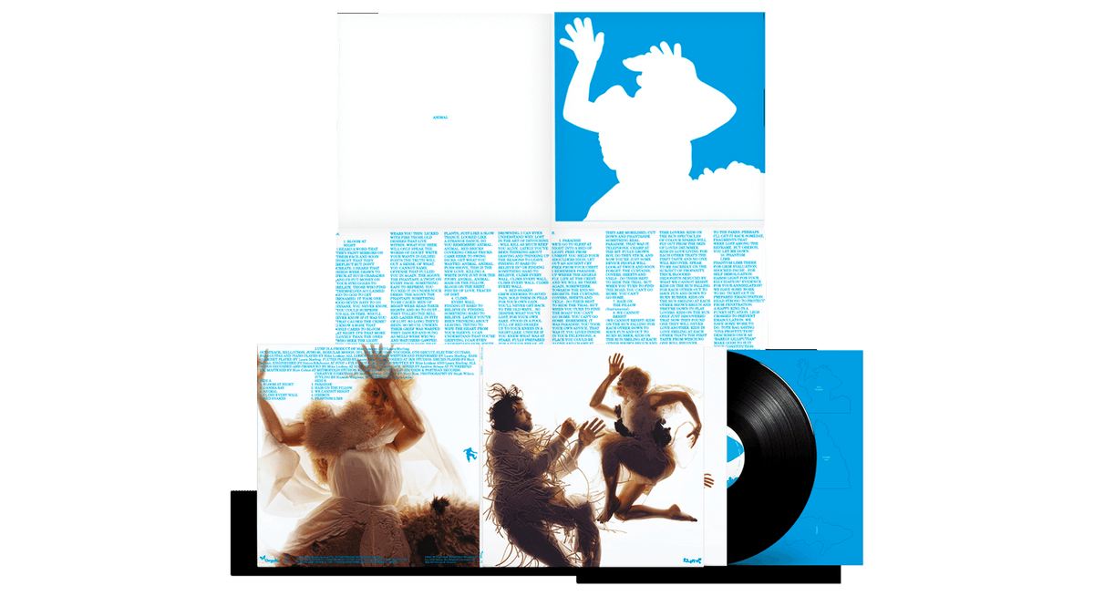 Vinyl - LUMP feat. Laura Marling &amp; Mike Lindsay : Animal (Deluxe Gatefold 180g Edition) - The Record Hub