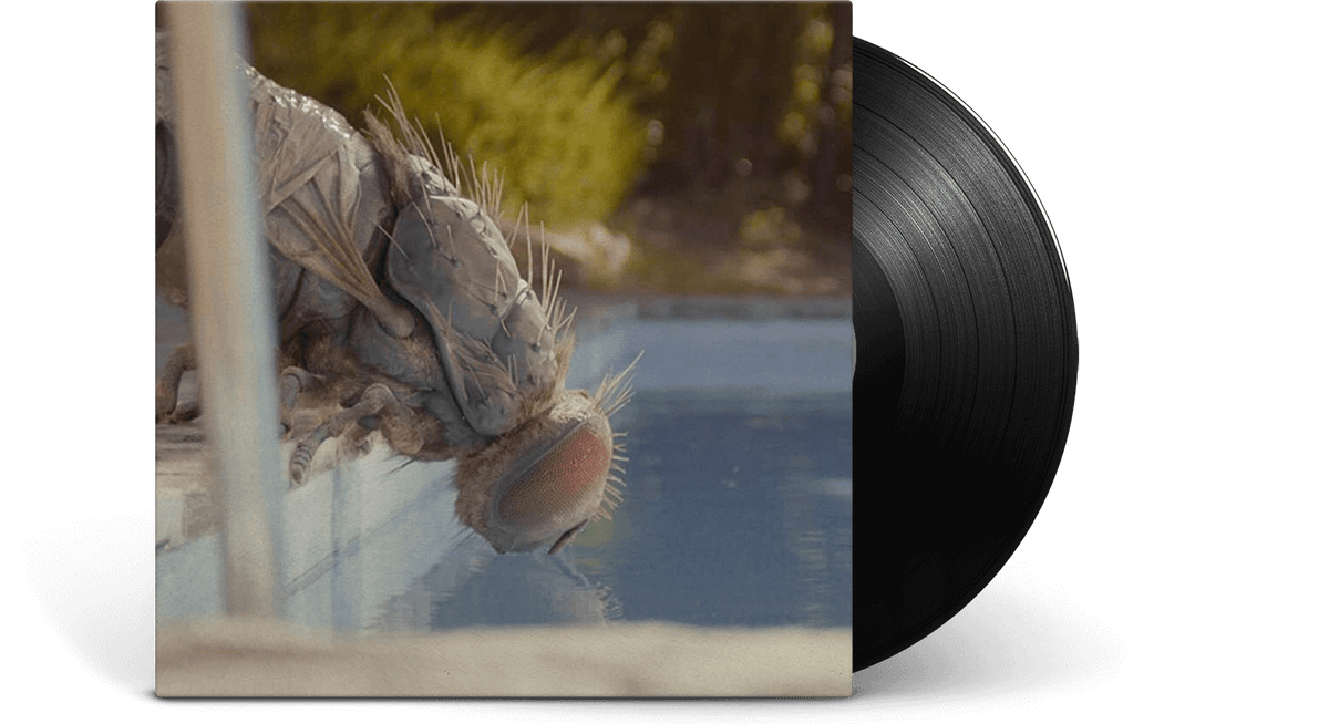 Vinyl - Metronomy : Mandibules (Ltd Etched Vinyl) - The Record Hub