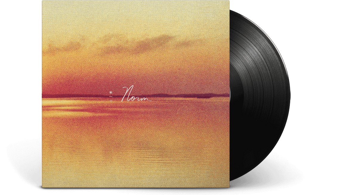 Vinyl - Andy Shauf : Norm - The Record Hub