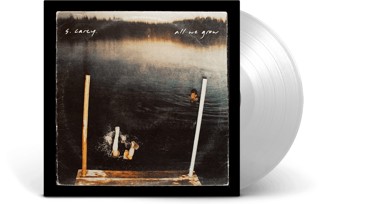 Vinyl - S. Carey : All We Grow (Ltd Seaglass Wave Translucent Vinyl) - The Record Hub
