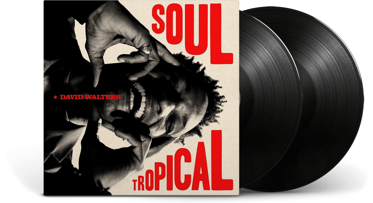 Vinyl - David Walters : Soul Tropical - The Record Hub