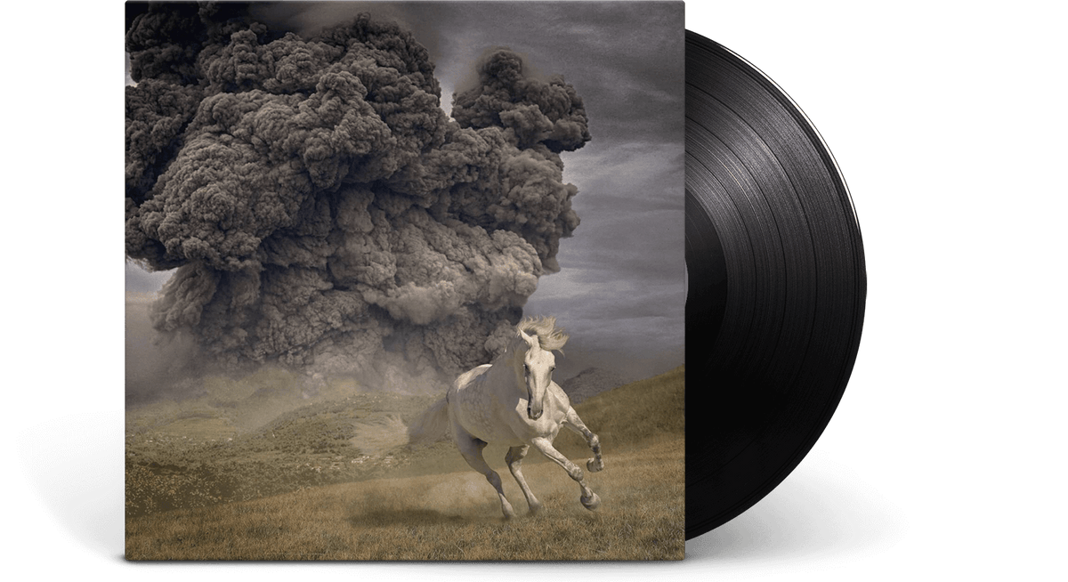 Vinyl - The White Buffalo : Year of the Dark Horse - The Record Hub